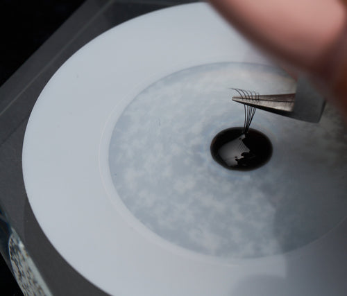 Volume Fan Dipped in Adhesive with lash Tweezers on an Adhesive Plate with Adhesive Film