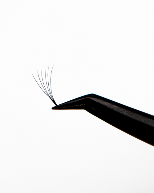 Tweezers holding a Pre-made fan for volume eyelash extensions.