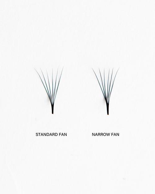 image of standard and narrow fan eyelash extensions
