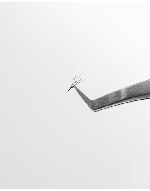 Tweezers holding a VOL-X Pre-made eyelash extensions Fans.